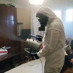 Дезинфекция от клопов в Михнево